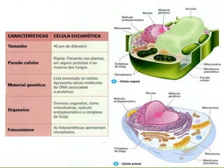 16




     Nuno Correia 2011/12
 