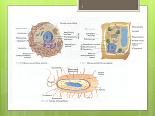 17




     Nuno Correia 2011/12
 