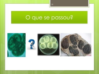 20




O que se passou?




                   Nuno Correia 2011/12
 