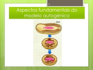 22



Aspectos fundamentais do
   modelo autogénico




                     Nuno Correia 2011/12
 
