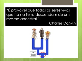3




“É provável que todos os seres vivos
que há na Terra descendam de um
mesmo ancestral.”
                       Charles Darwin




                             Nuno Correia 2011/12
 