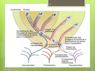 35




Resumo




              Nuno Correia 2011/12
 