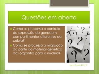 37




      Questões em aberto
 Como   se processa o controlo
  da expressão de genes em
  compartimentos diferentes da
  célula?
 Como se processa a migração
  da parte do material genético
  dos organitos para o núcleo?


                                  Nuno Correia 2011/12
 