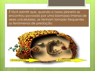 É fácil admitir que, quando o nosso planeta se
encontrou povoado por uma biomassa imensa de
seres unicelulares, se tenham tornado frequentes
os fenómenos de predação.
 