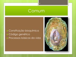 8




                 Comum



 Constituiçãobioquímica
 Código genético
 Processos básicos da vida




                              Nuno Correia 2011/12
 