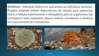 Biologia 11 (origem e evolução   simbiose)