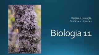 Biologia 11 (origem e evolução   simbiose)