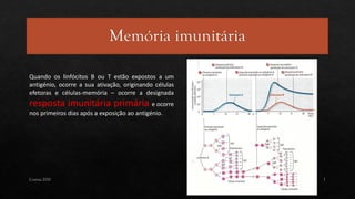 Correia 2020 7
Quando os linfócitos B ou T estão expostos a um
antigénio, ocorre a sua ativação, originando células
efetoras e células-memória – ocorre a designada
resposta imunitária primária e ocorre
nos primeiros dias após a exposição ao antigénio.
 