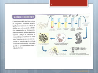 Biologia 12   reprodução humana Slide 4
