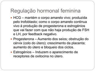 Regulação hormonal feminina
 HCG – mantém o corpo amarelo vivo; produzida
pelo trofoblasto; como o corpo amarelo continua
vivo á produção de progesterona e estrogénios
que vai fazer com que não haja produção de FSH
e LH, por feedback negativo.
 Progesterona – Aumento dos seios; obstrução do
cérvix (colo do útero); crescimento da placenta;
aumento do útero e bloqueio dos ciclos.
 Estrogénios – Induzem o aparecimento de
receptores de oxitocina no útero.
 