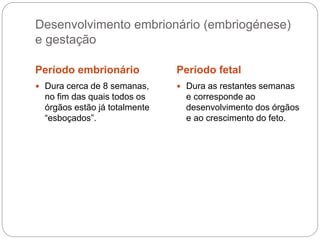 Desenvolvimento embrionário (embriogénese)
e gestação
Período embrionário Período fetal
 Dura cerca de 8 semanas,
no fim das quais todos os
órgãos estão já totalmente
“esboçados”.
 Dura as restantes semanas
e corresponde ao
desenvolvimento dos órgãos
e ao crescimento do feto.
 