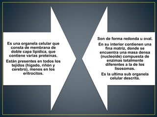 Es una organela celular que
consta de membrana de
doble capa lipídica, que
contiene varias proteinas.
Están presentes en todos los
tejidos (hígado, riñón y
cerebro), menos en los
eritrocitos.
Son de forma redonda u oval.
En su interior contienen una
fina matriz, donde se
encuentra una masa densa
(nucleoide) compuesta de
enzimas totalmente
diferentes a la de los
lisosomas.
Es la ultima sub organela
celular descrita.
 