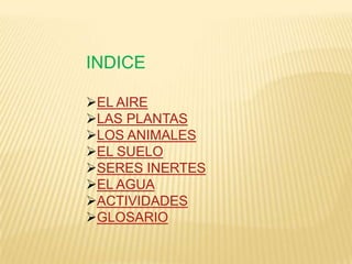 INDICE

EL AIRE
LAS PLANTAS
LOS ANIMALES
EL SUELO
SERES INERTES
EL AGUA
ACTIVIDADES
GLOSARIO
 