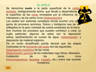 EL SUELO
Se denomina suelo a la parte superficial de la corteza
terrestre, biológicamente activa, que tiende a desarrollarse en
la superficie de las rocas emergidas por la influencia de la
intemperie y de los seres vivos (meteorización).
Los suelos son sistemas complejos donde ocurren una vasta
gama de procesos químicos, físicos y biológicos que se ven
reflejados en la gran variedad de suelos existentes en la tierra.
Son muchos los procesos que pueden contribuir a crear un
suelo particular, algunos de estos son la deposición
eólica, sedimentación en cursos de agua, meteorización, y
deposición de material orgánico.
De un modo simplificado puede decirse que las etapas
implicadas en la formación del suelo son las siguientes:
Disgregación mecánica de las rocas.
Meteorización química de los materiales rego líticos, liberados.
Instalación          de         los         seres           vivos
(microorganismos, líquenes, musgos, etc.) sobre ese sustrato
                           inorgánico.
 