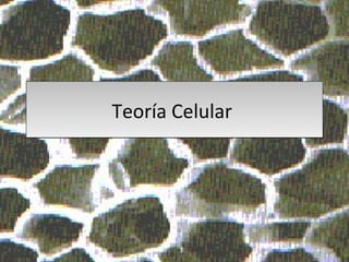 Teoría Celular
 