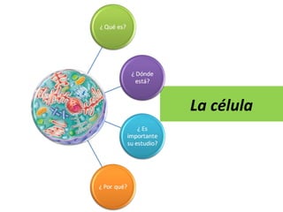 La célula
 