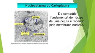 BIOLOGIA 1ª SÉRIE DO ENSINO MÉDIO.pdf