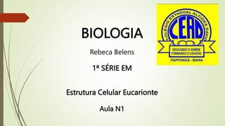 BIOLOGIA
Rebeca Belens
1ª SÉRIE EM
Estrutura Celular Eucarionte
Aula N1
 