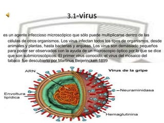 3.1-virus
es un agente infeccioso microscópico que sólo puede multiplicarse dentro de las
células de otros organismos. Los...