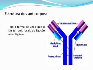 Biologia2