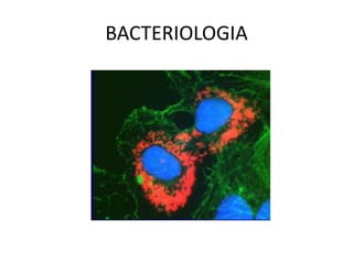 BACTERIOLOGIA
 