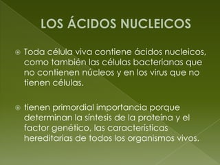 LOS ÁCIDOS NUCLEICOSToda célula viva contiene ácidos nucleicos, como también las células bacterianas que no contienen núcleos y en los virus que no tienen células. tienen primordial importancia porque determinan la síntesis de la proteína y el factor genético, las características hereditarias de todos los organismos vivos.