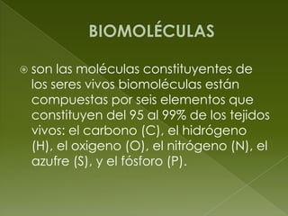 BIOMOLÉCULASson las moléculas constituyentes de los seres vivos biomoléculas están compuestas por seis elementos que constituyen del 95 al 99% de los tejidos vivos: el carbono (C), el hidrógeno (H), el oxigeno (O), el nitrógeno (N), el azufre (S), y el fósforo (P).