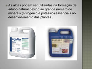  Asalgas podem ser utilizadas na formação de
 adubo natural devido ao grande número de
 minerais (nitrogênio e potássio) essenciais ao
 desenvolvimento das plantas .
 