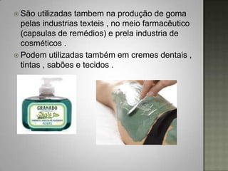  São  utilizadas tambem na produção de goma
  pelas industrias texteis , no meio farmacêutico
  (capsulas de remédios) e prela industria de
  cosméticos .
 Podem utilizadas também em cremes dentais ,
  tintas , sabões e tecidos .
 