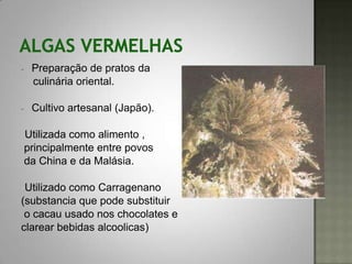 -   Preparação de pratos da
    culinária oriental.

-   Cultivo artesanal (Japão).

-Utilizada como alimento ,
 principalmente entre povos
 da China e da Malásia.

-Utilizado como Carragenano
(substancia que pode substituir
 o cacau usado nos chocolates e
clarear bebidas alcoolicas)
 