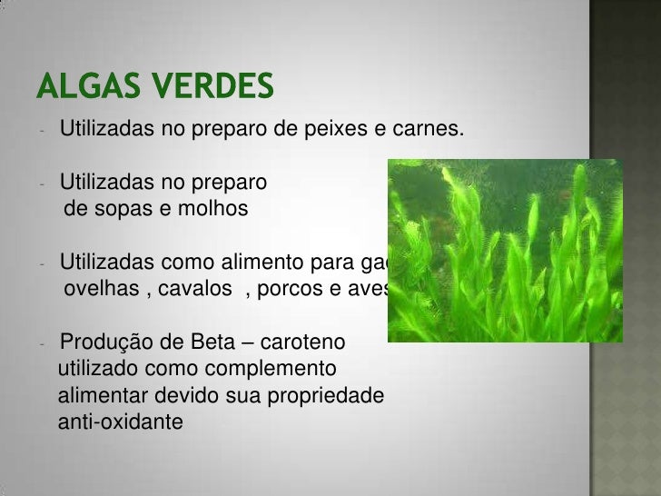 Cite Alguns Exemplos Da Importância Econômica Dessas Frutos De Algas