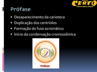 Prófase
 Desaparecimento da carioteca
 Duplicação dos centríolos
 Formação do fuso acromático
 Início da condensação cromossômica
 