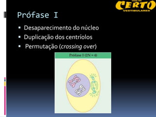 Prófase I
 Desaparecimento do núcleo
 Duplicação dos centríolos
 Permutação (crossing over)
 