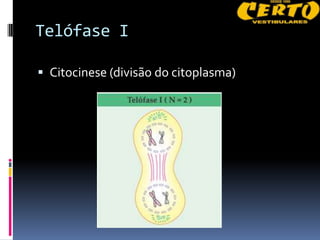 Telófase I

 Citocinese (divisão do citoplasma)
 