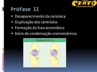Prófase II
 Desaparecimento da carioteca
 Duplicação dos centríolos
 Formação do fuso acromático
 Início da condensação cromossômica
 