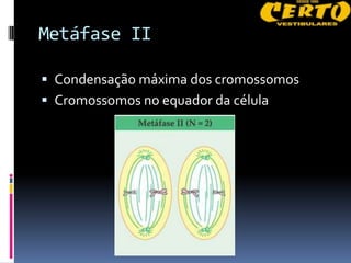 Metáfase II

 Condensação máxima dos cromossomos
 Cromossomos no equador da célula
 