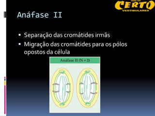 Anáfase II

 Separação das cromátides irmãs
 Migração das cromátides para os pólos
  opostos da célula
 