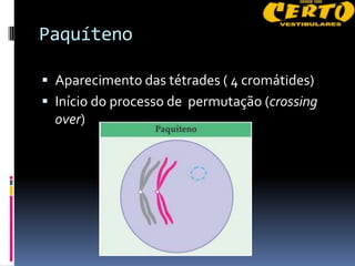 Paquíteno

 Aparecimento das tétrades ( 4 cromátides)
 Início do processo de permutação (crossing
  over)
 
