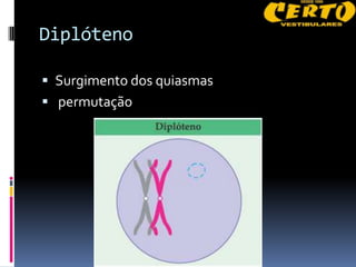 Diplóteno

 Surgimento dos quiasmas
 permutação
 