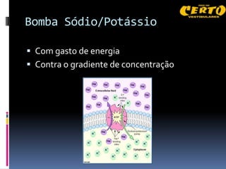 Bomba Sódio/Potássio

 Com gasto de energia
 Contra o gradiente de concentração
 