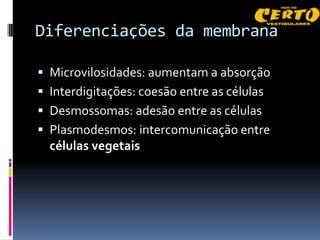 Diferenciações da membrana

 Microvilosidades: aumentam a absorção
 Interdigitações: coesão entre as células
 Desmossomas: adesão entre as células
 Plasmodesmos: intercomunicação entre
  células vegetais
 
