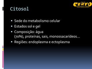 Citosol

 Sede do metabolismo celular
 Estados sol e gel
 Composição: água
  (70%), proteínas, sais, monossacarídeos...
 Regiões: endoplasma e ectoplasma
 
