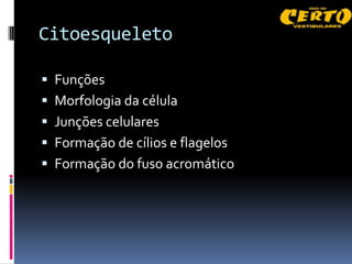Citoesqueleto

 Funções
 Morfologia da célula
 Junções celulares
 Formação de cílios e flagelos
 Formação do fuso acromático
 