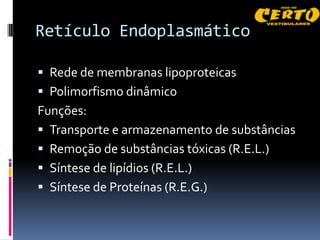 Retículo Endoplasmático

 Rede de membranas lipoproteicas
 Polimorfismo dinâmico
Funções:
 Transporte e armazenamento de substâncias
 Remoção de substâncias tóxicas (R.E.L.)
 Síntese de lipídios (R.E.L.)
 Síntese de Proteínas (R.E.G.)
 