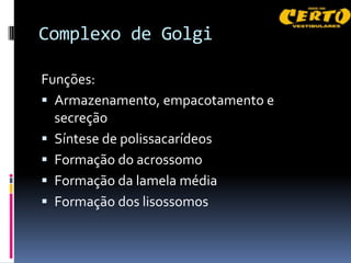 Complexo de Golgi

Funções:
 Armazenamento, empacotamento e
  secreção
 Síntese de polissacarídeos
 Formação do acrossomo
 Formação da lamela média
 Formação dos lisossomos
 