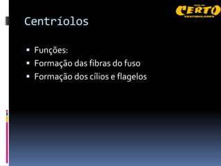 Centríolos

 Funções:
 Formação das fibras do fuso
 Formação dos cílios e flagelos
 