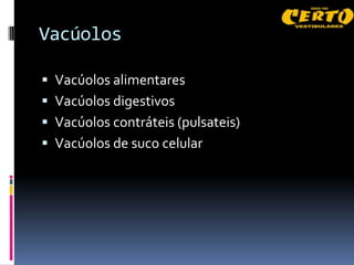 Vacúolos

 Vacúolos alimentares
 Vacúolos digestivos
 Vacúolos contráteis (pulsateis)
 Vacúolos de suco celular
 