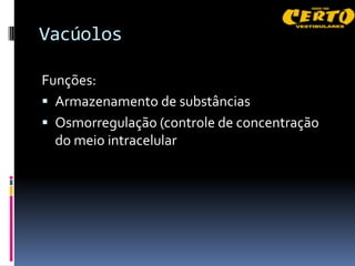 Vacúolos

Funções:
 Armazenamento de substâncias
 Osmorregulação (controle de concentração
  do meio intracelular
 