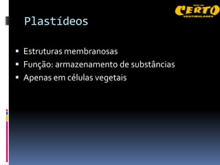 Plastídeos

 Estruturas membranosas
 Função: armazenamento de substâncias
 Apenas em células vegetais
 