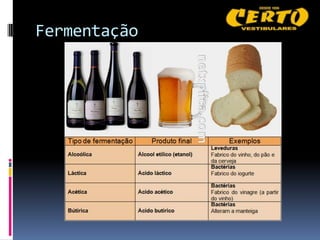 Fermentação
 
